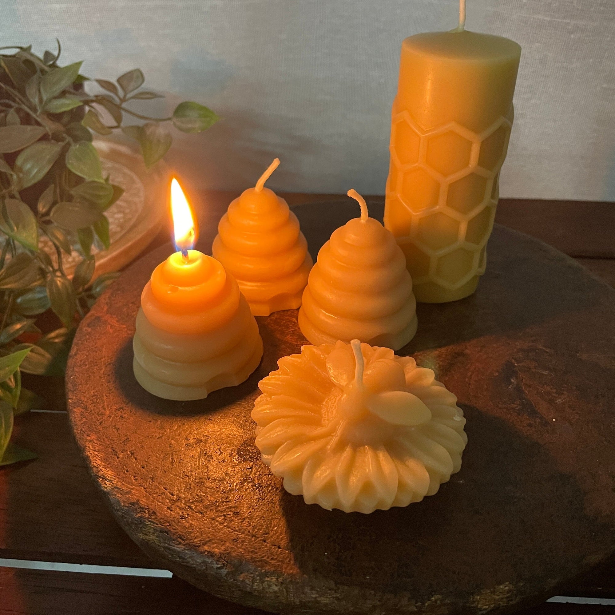 Honeybee gift pack Made from 100% Australian Beeswax Happy Flame
