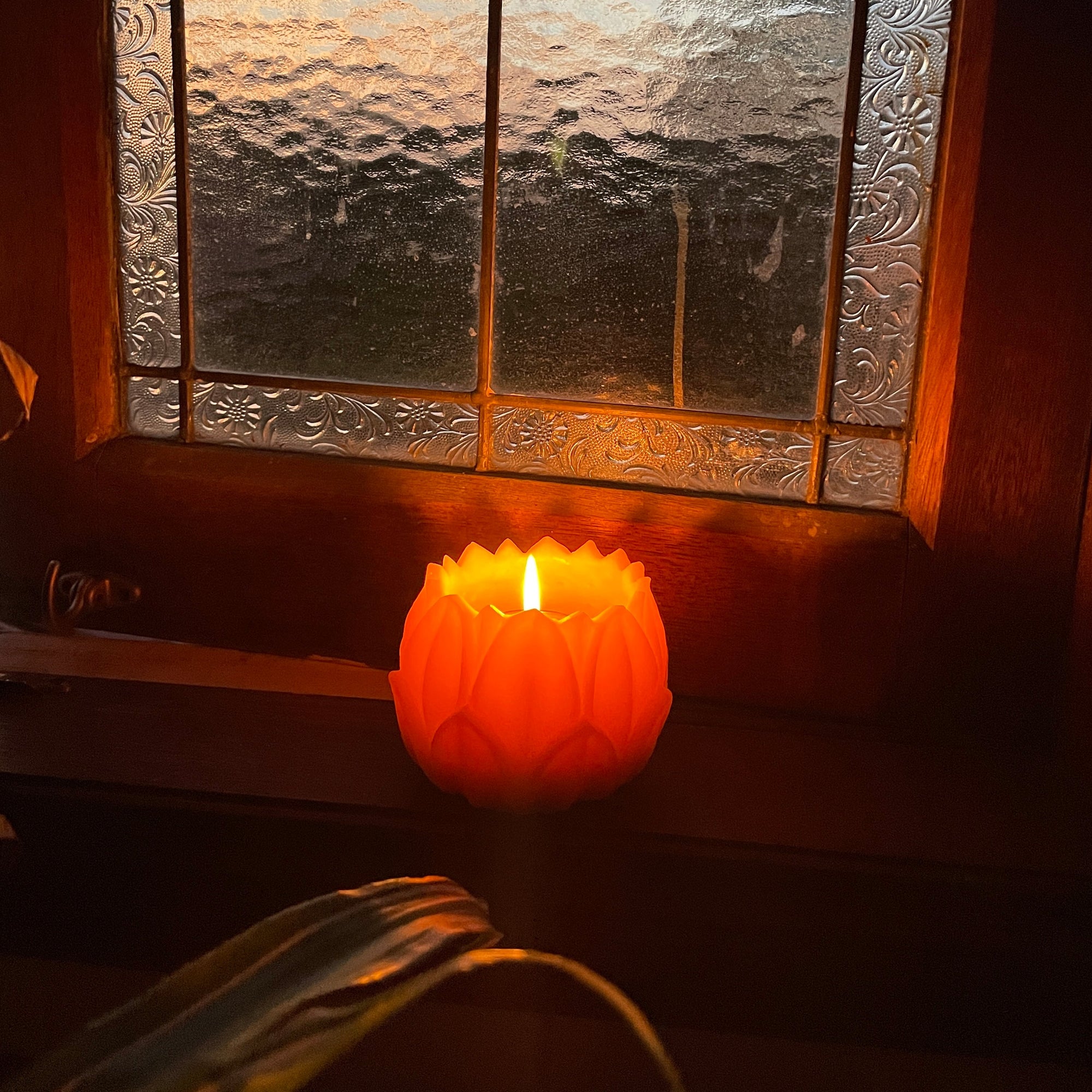 Beeswax Large lotus/ water lily lantern- Made from 100% Australian Beeswax Beeswax Lanterns luminaries Happy Flame