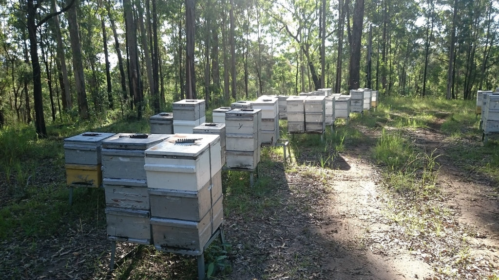 FAQ's for our Australian certified organic beeswax - Happy Flame