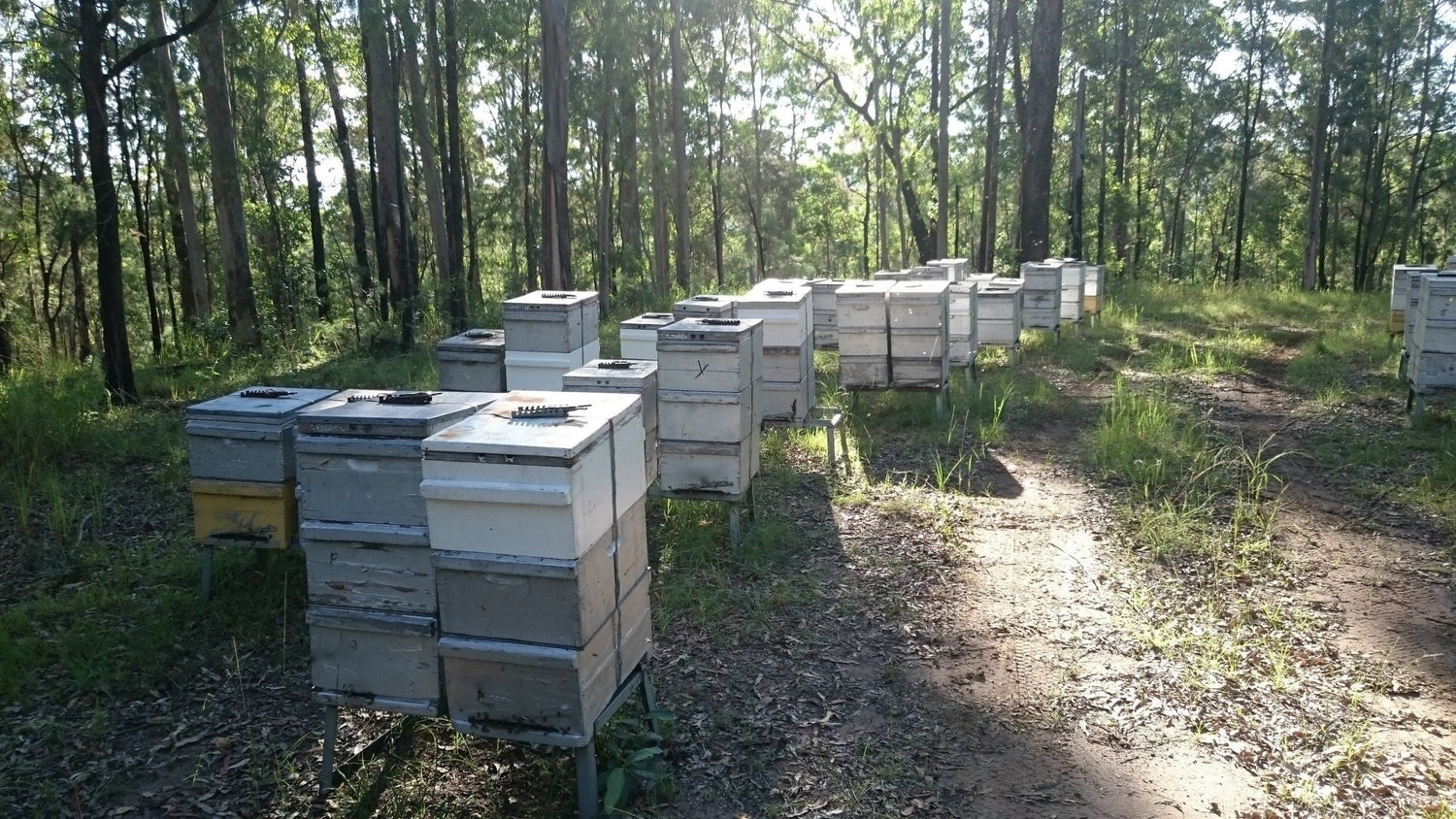 FAQ's for our Australian certified organic beeswax - Happy Flame