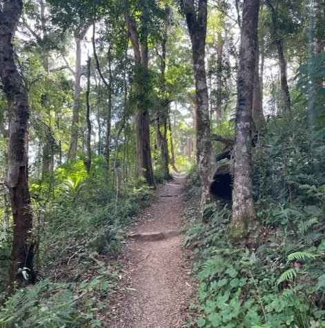 6 Little Ways to Make Your Life Feel More Peaceful - Happy Flame