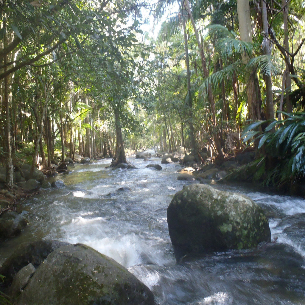 Chemical free life style?