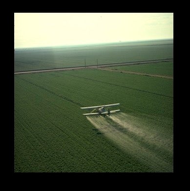 Chemicals and our health- diving deep into chemical exposure.