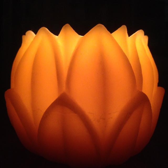 Lotus candles and wax lanterns