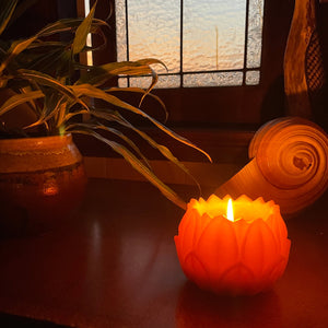 Beeswax Large lotus/ water lily lantern- Made from 100% Australian Beeswax Beeswax Lanterns luminaries Happy Flame 