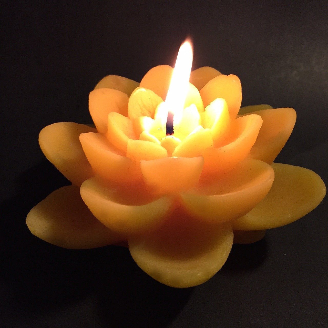 Happy Flame Spiritual Double lotus beeswax candle