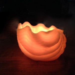 Byron Bay Seashell Beeswax Candle Lantern 3 - Happy Flame